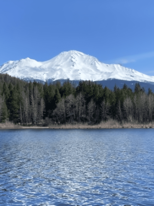 Snow-capped mountain with forested slopes, reflected in a calm blue lake under a clear sky.
