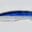 Close-up of a blue and black bird feather against a white background.