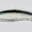 Close-up of a black eyebrow with a white background.