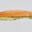 Close-up of an orange and yellow fishing fly lure.