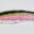 Close-up of a colorful fishing fly lure with pink, yellow, and black feathers.