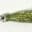 Close-up of a shiny fishing lure with a realistic eye.